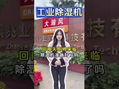 Промышленный обезвоживающий дегумидатор для эффективного удаления влаги Держите пространство прохладным и сухим